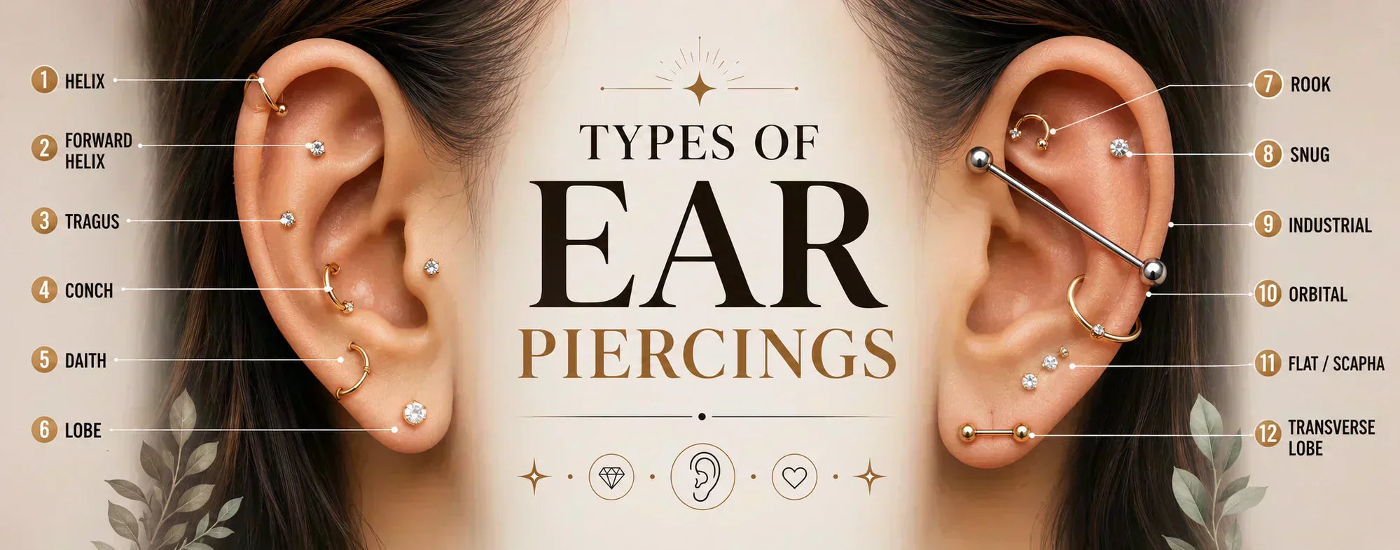 A wide infographic titled “Types of Ear Piercings” 