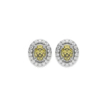 White gold Oval Diamond Halo Earrings made with a fancy yellow oval cut solitaire diamonds set in a four prong setting 