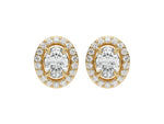1 CT 18k Yellow gold Oval cut Diamond Halo stud Earrings set in a four prong setting