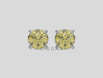 18k white gold Round Diamond Studs made with fancy yellow round brilliant-cut diamonds set in a four prong setting